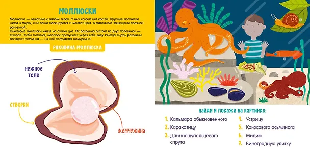 Книга Животные. Визуальный словарь (Анна Парамонова) — 6