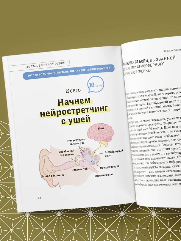Книга Нейрогимнастика. Новейшая японская методика растяжки нейронов, позволяющая избавиться от любой тянущей или ноющей боли (Тадаси Канэко) — 13