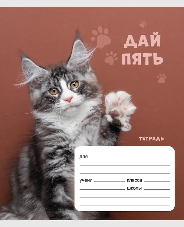 Тетрадь в клетку Listoff «Дай пять!» в ассортименте, 24 листа 3033022 — 3