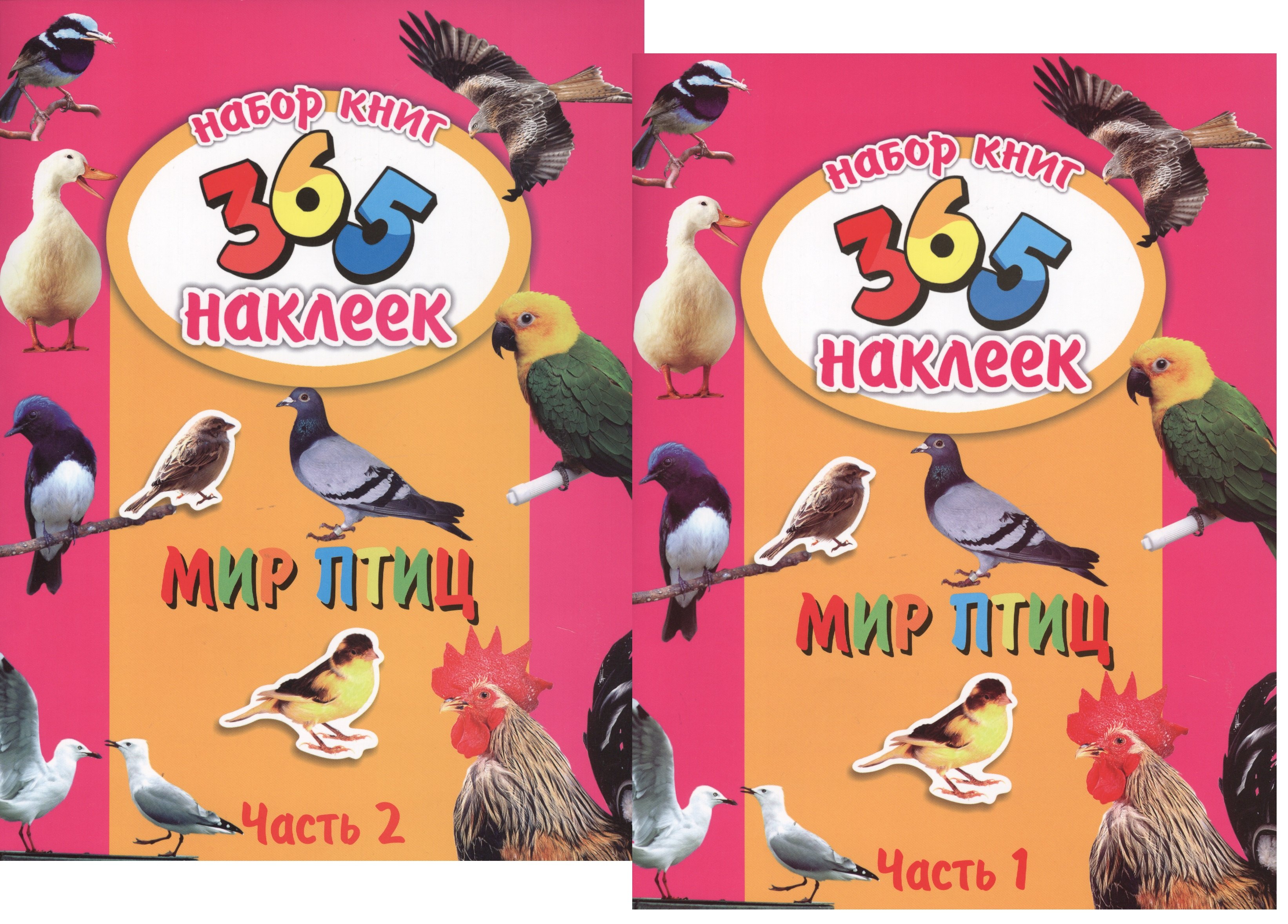 

Мир птиц. В 2-х частях. 365 наклеек (комплект из 2-х книг)