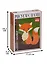 Картина по номерам Лисичка (MINI16130108) (16,5х13 см.) (набор) (7+) (коробка) (Art idea) — 2622945 — 2