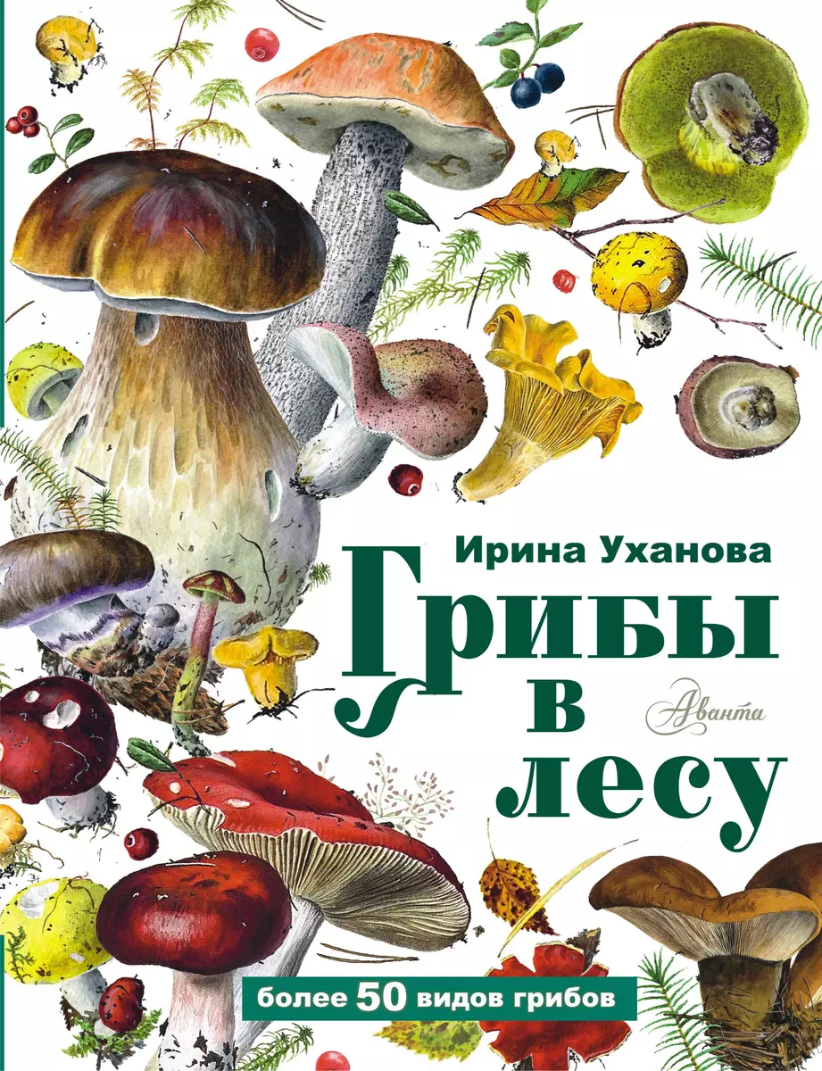 Грибы в лесу (Ирина Уханова) - купить книгу с доставкой в интернет-магазине  «Читай-город». ISBN: 978-5-17-148300-5