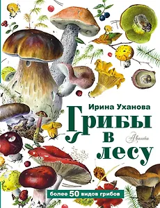 Грибы в лесу