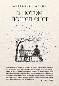 А потом пошел снег...