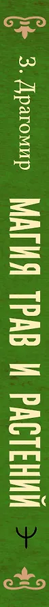 Книга Магия трав и растений. Зеленое волшебство в твоих руках: рецепты, свечи, лунные ритуалы (Зелинда Драгомир) — 3
