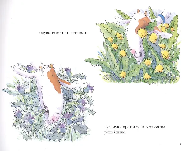 Книга Больной зуб козлика Хрумки (Линда Дженнингс) — 3