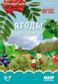 

Ягоды лесные. Наглядно-дидактическое пособие. ФГОС