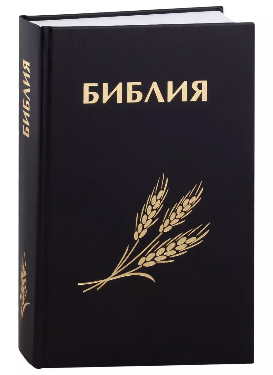 Библия. Книги Священного писания Ветхого и Нового Завета - купить книгу с  доставкой в интернет-магазине «Читай-город». ISBN: 978-5-4212-0662-0