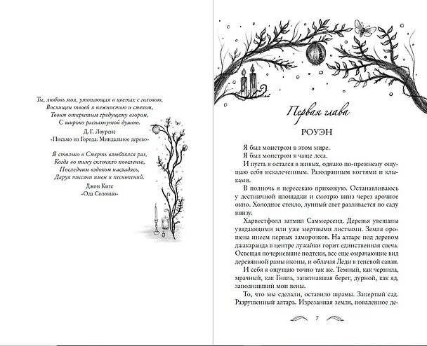 Книга Ночь Саммерсенда (Линдалл Клипстоун) — 7