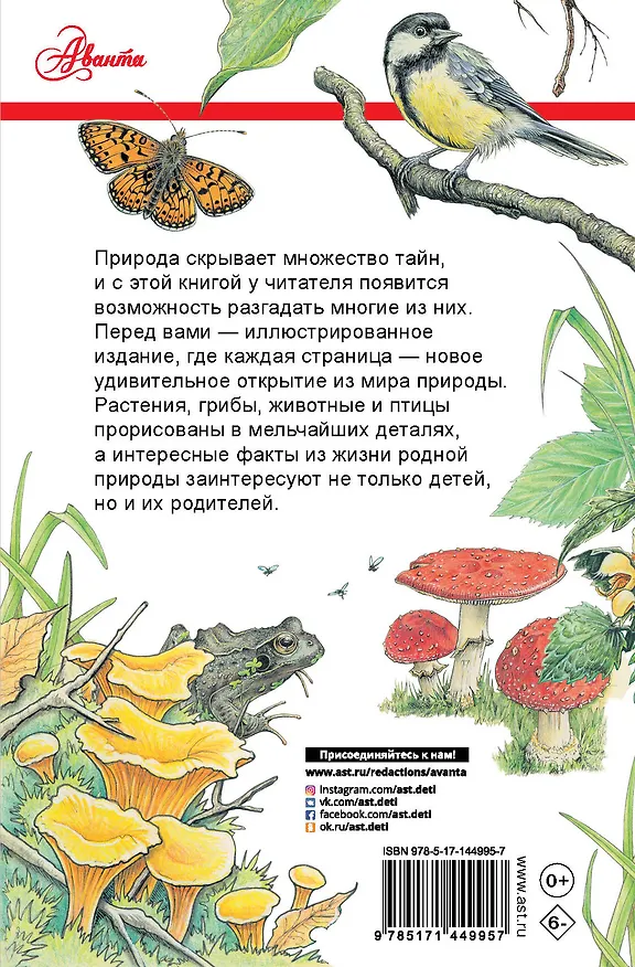 Книга Секреты родной природы. Дневник маленьких открытий на каждый день (Джо Браун) — 2