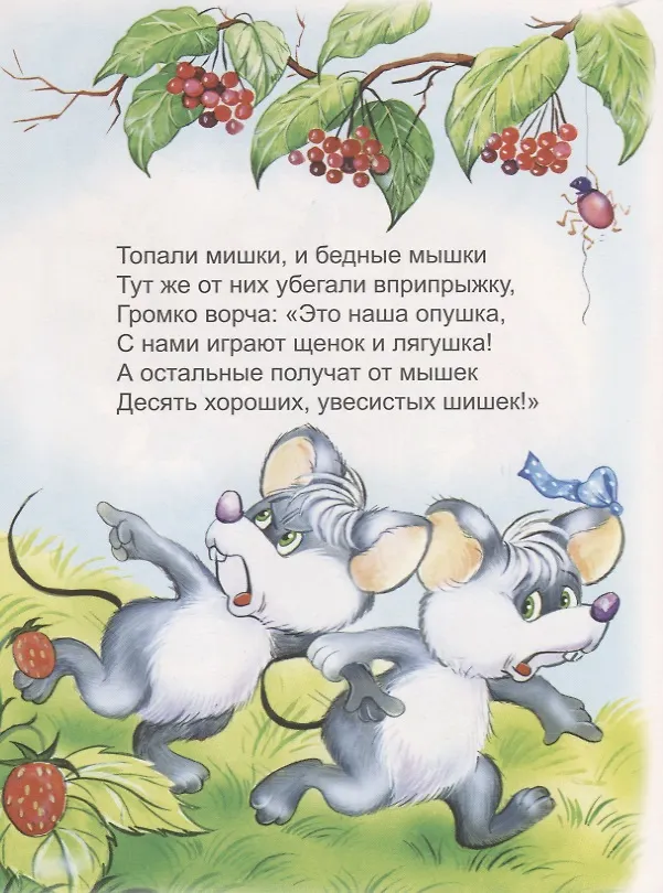 Книга Мышки и мишки () — 5