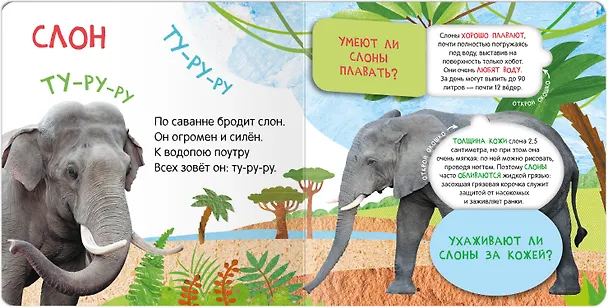Книга Книжки с окошками. Кто где живет? () — 3
