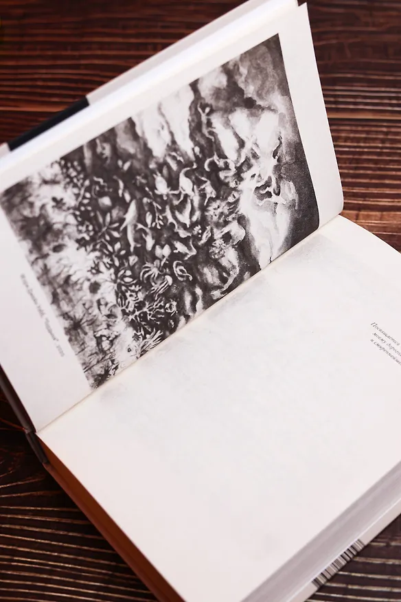 Книга Высокомерная обезьяна (Кристин Уэбб) — 14