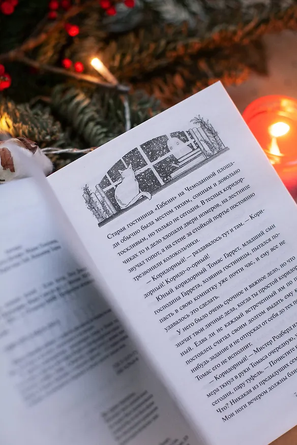 Книга Шесть зимних ночей (Мария Покусаева, Лизз Демаро) — 6