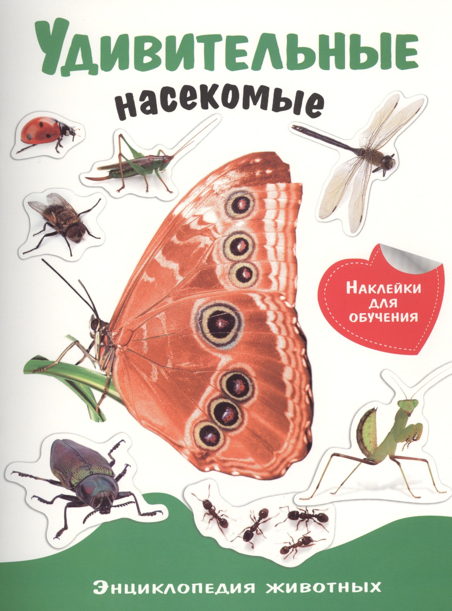 

Энциклопедия животных с накл. Удивительные насекомые