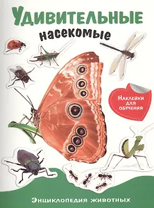 Энциклопедия животных с накл. Удивительные насекомые