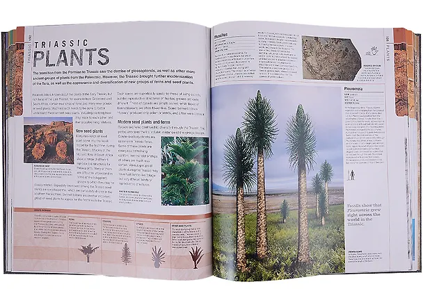 Книга Dinosaurs and Prehistoric Life. The definitive visual guide to prehistoric animals () — 6