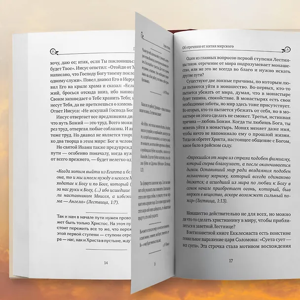 Книга Лествица святого Иоанна Лествичника. Тридцать ступеней на пути к Богу (Борис Корчевников, Протоиерей  Игорь Фомин) — 10