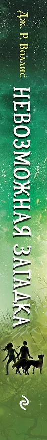 Книга Невозможная загадка (Дж. Воллис) — 3