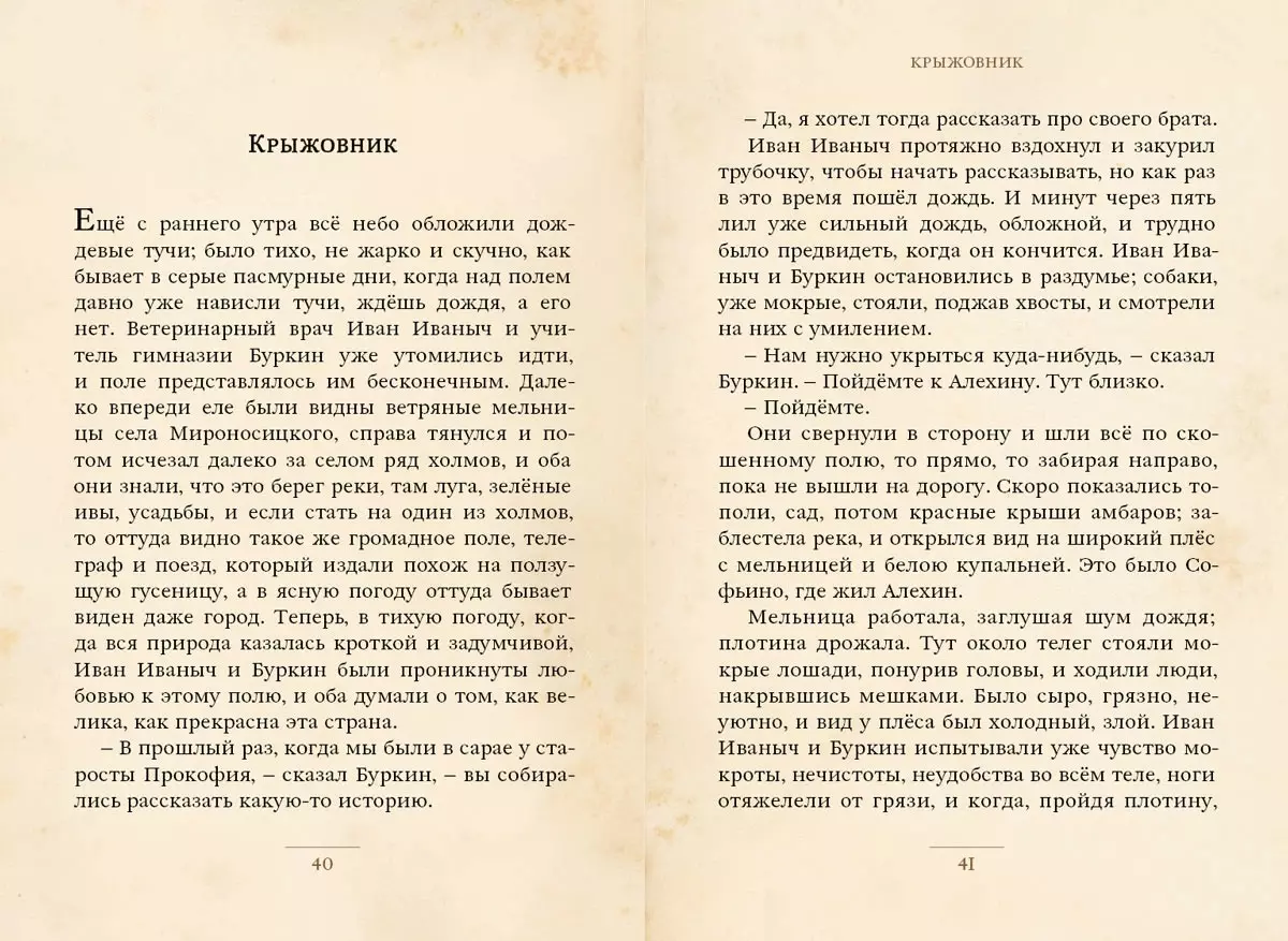 Дама с собачкой и другие рассказы (Антон Чехов) - купить книгу с доставкой  в интернет-магазине «Читай-город». ISBN: 978-5-907728-08-0