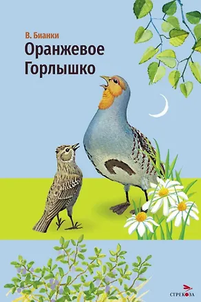 Книга Оранжевое горлышко. Сказка (Виталий Бианки)