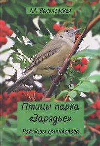 Птицы парка Зарядье: рассказы орнитолога