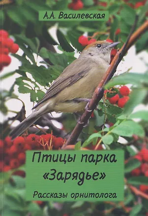 Книга Птицы парка Зарядье: рассказы орнитолога (Александра Василевская)