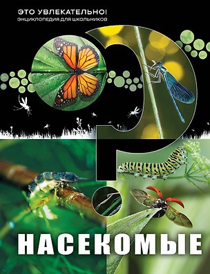 Книга Насекомые ()