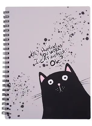 Тетрадь в клетку Be Smart, "Hey human. Кот", 80 листов 2900039