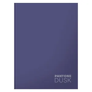 Книга для записей А5+ 96л кл. "Dusk" интеграл.перепл., матов.ламин., выб.лак.