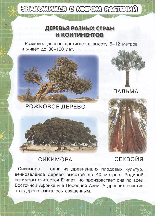 Книга Деревья и цветы (Игорь Резько) — 5