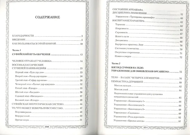 Книга Очищение. Суфийская энергетическая практика (Николай Третьяков) — 2