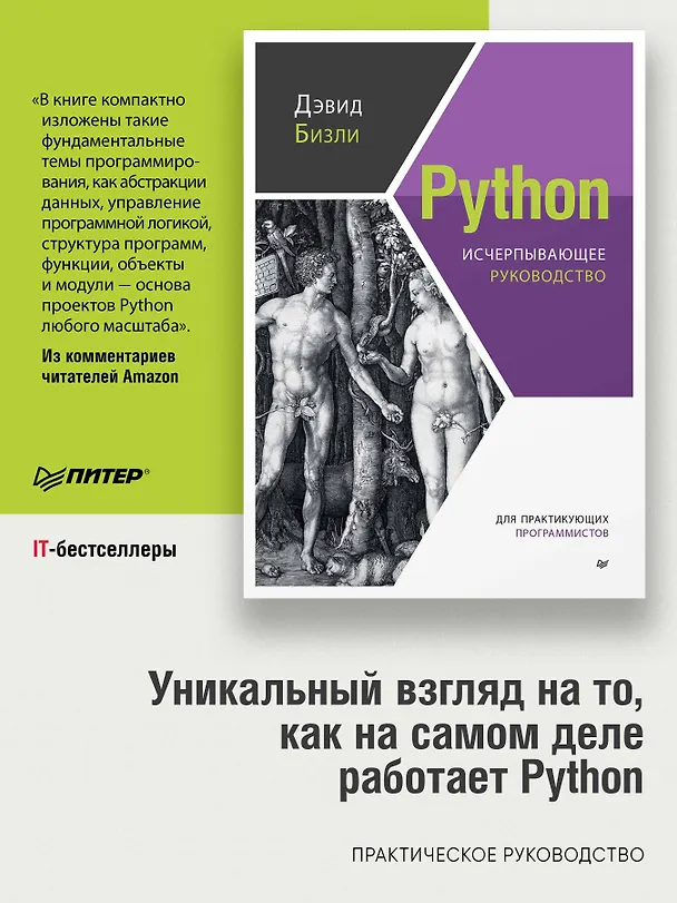Книга Python. Исчерпывающее руководство (Дэвид Бизли) — 3