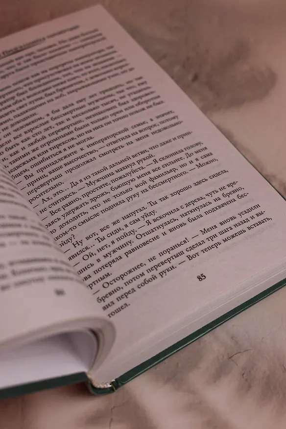 Книга Дочь медведя, или Предсказанная перевёртышу (Оксана Чекменёва) — 10