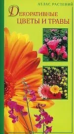 Декоративные цветы и травы
