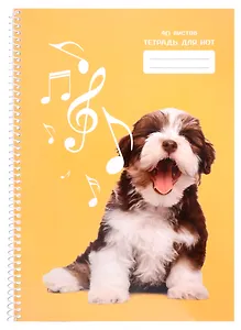 Тетрадь для нот Listoff, "Соло", А4, 40 листов