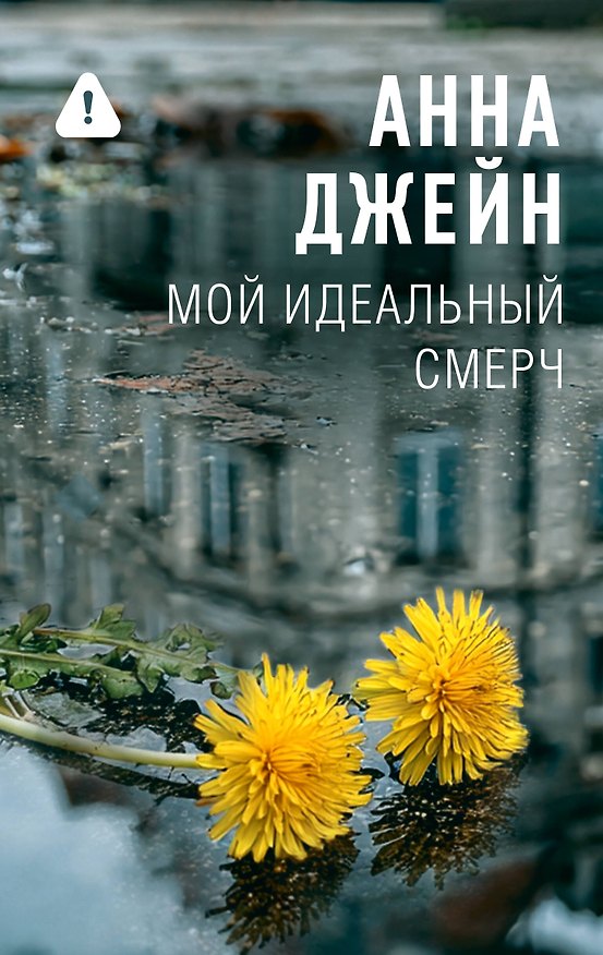 Книга Мой идеальный смерч (Анна Джейн) — 1