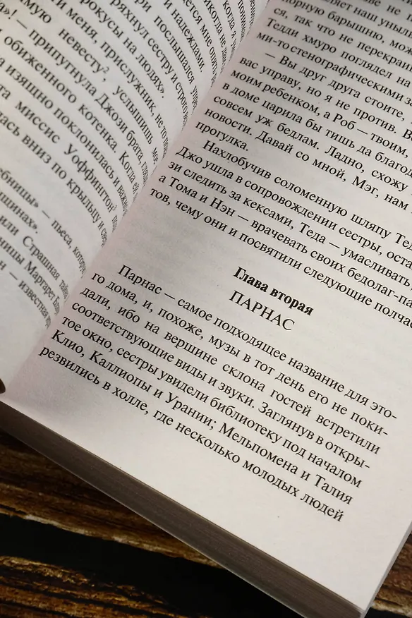 Книга Маленькие мужчины выросли (Луиза Мэй Олкотт) — 9