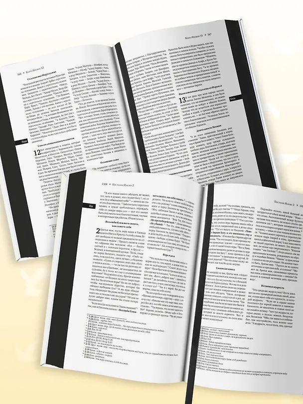 Книга Библия: в современном русском переводе () — 11
