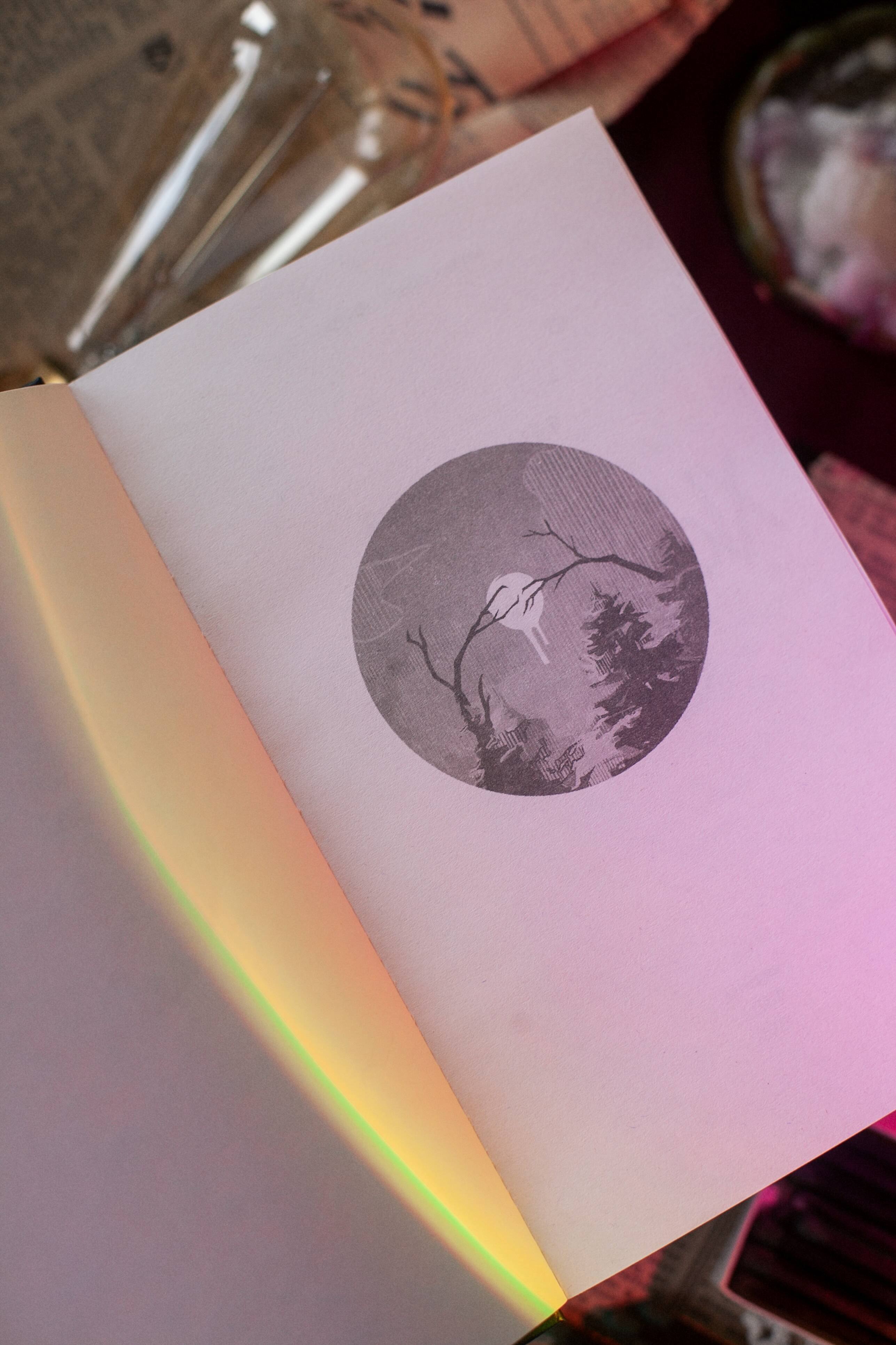 Изображение бумажной книги