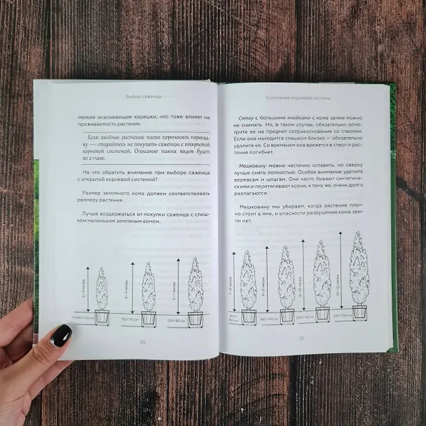Книга Энциклопедия хвойных растений. Вечнозелёные долгожители в вашем саду (Лариса Кочелаева) — 13