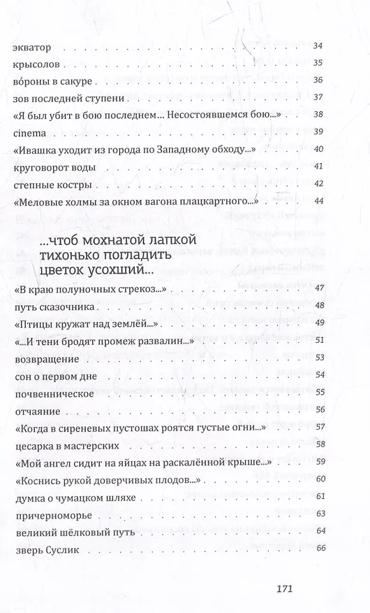 Книга Солнце контрабандистов (Анна Мамаенко) — 4