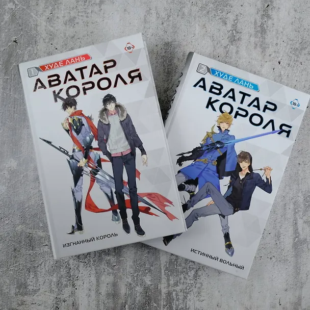 Книга Аватар короля. Изгнанный король. Книга 1 (Худе Лань) — 12