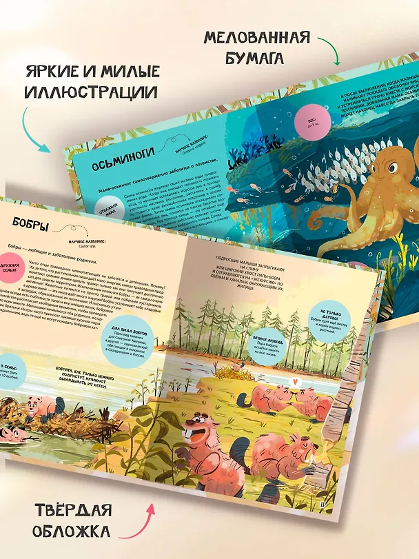 Книга Семья в мире животных. Любовь, забота и воспитание в дикой природе (Доменико Текноченци) — 7