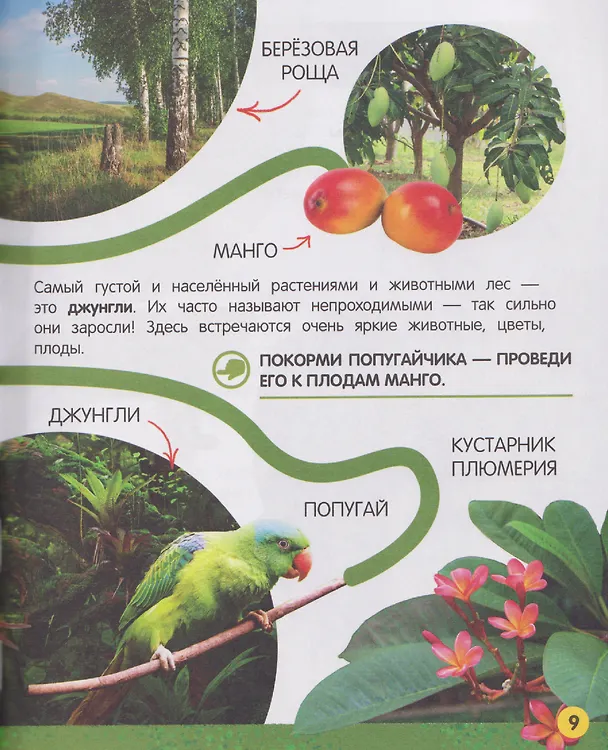 Книга Моя большая книга о природе (Елена Миронова) — 4