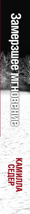 Книга Замерзшее мгновение: роман. Пер. с англ. (Камилла Седер) — 3