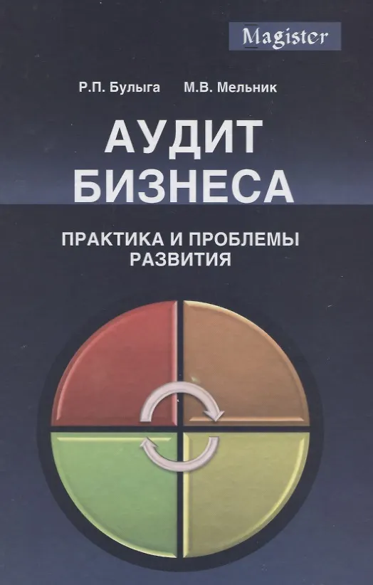 Книга Аудит бизнеса Практика и проблемы развития (Magister) Булыга () — 1