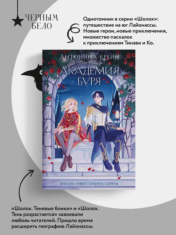 Книга Шолох. Академия Буря (Антонина Крейн) — 7