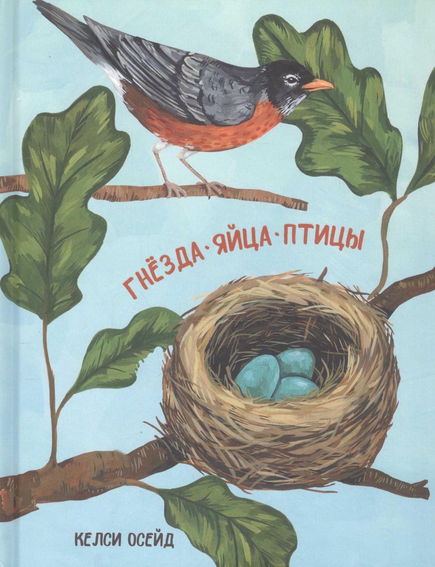 Гнезда. Яйца. Птицы