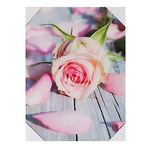 Картина Роза и лепестки на досках (30х40) (740-020) 2430666